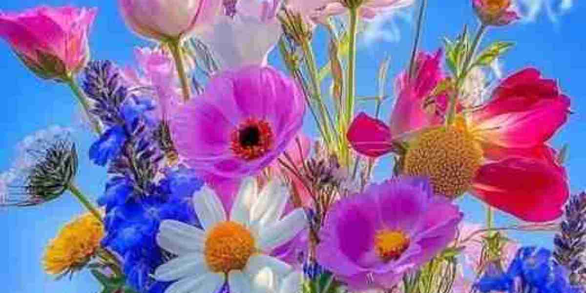 6-Foot-6 Alabama Backup QB Throws 2 TDs Within just Period Debut