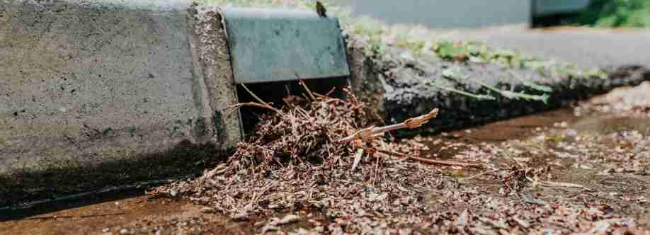 SEQ Blocked Drains Cover Image