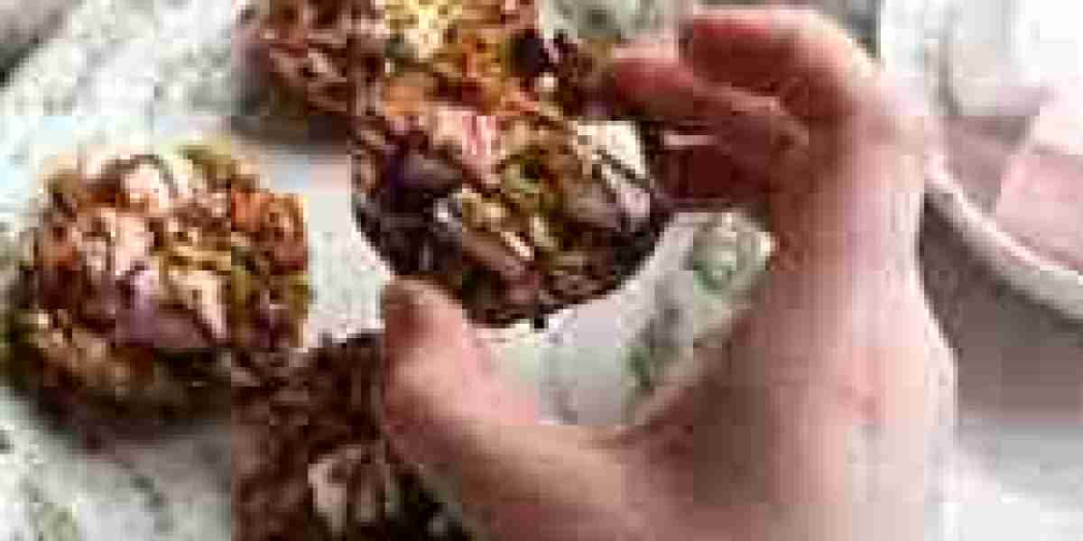 Discover the Joy of Homemade Treats with Easy Baking Solutions